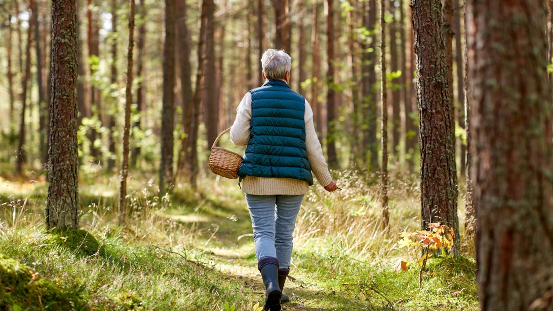 Äldre kvinna går med en korg i skogen.