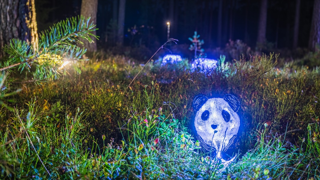 Ljusinstallation som föreställer en panda.