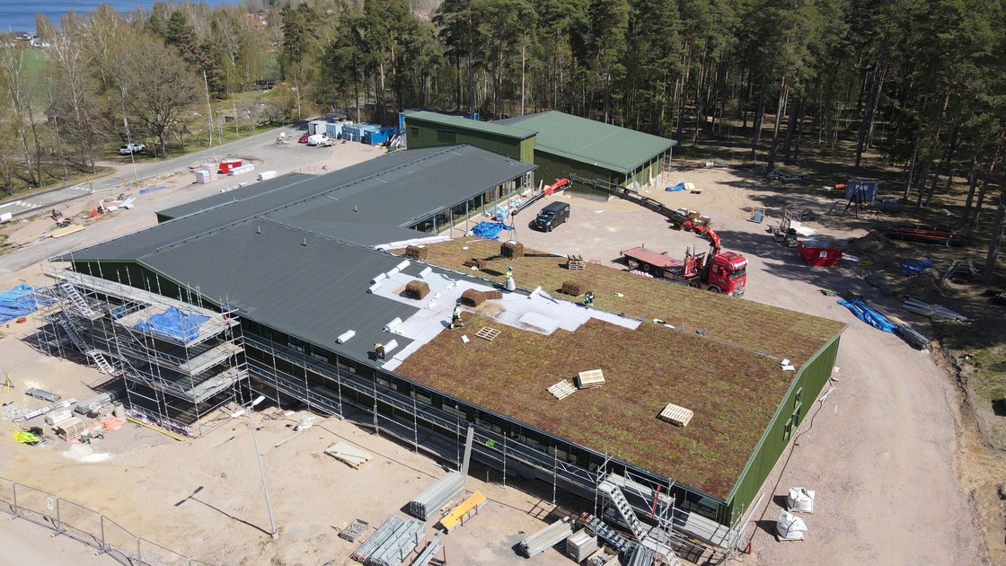 Montering av sedumtak på Ransbergs skola den 9 maj 2023.