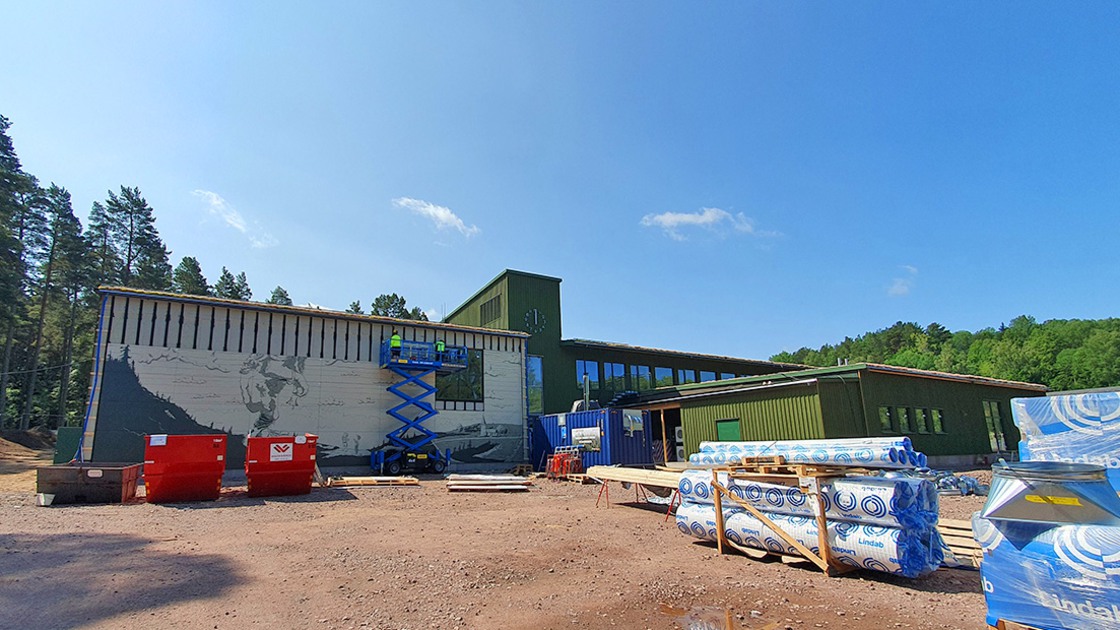 Montering av Jätten Rane-utsmyckning på Ransbergs skolas idrottshall.