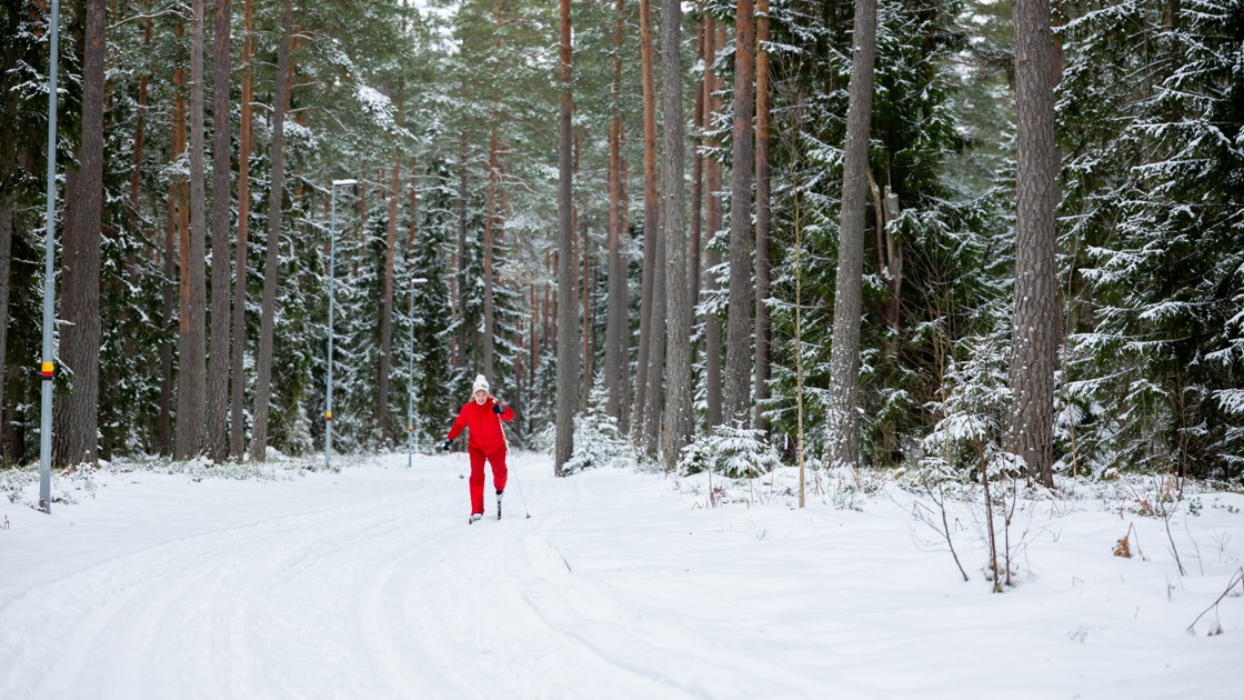 Skidåkning på Rankås friluftsområde.