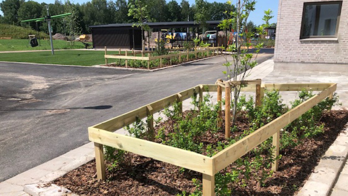 Plantering med skyddande trästaket på Baggeboskolans skolgård.