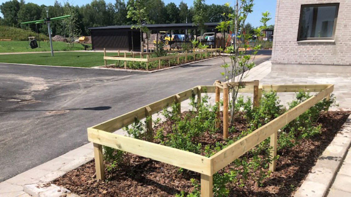 Plantering med skyddande trästaket på Baggeboskolans skolgård.