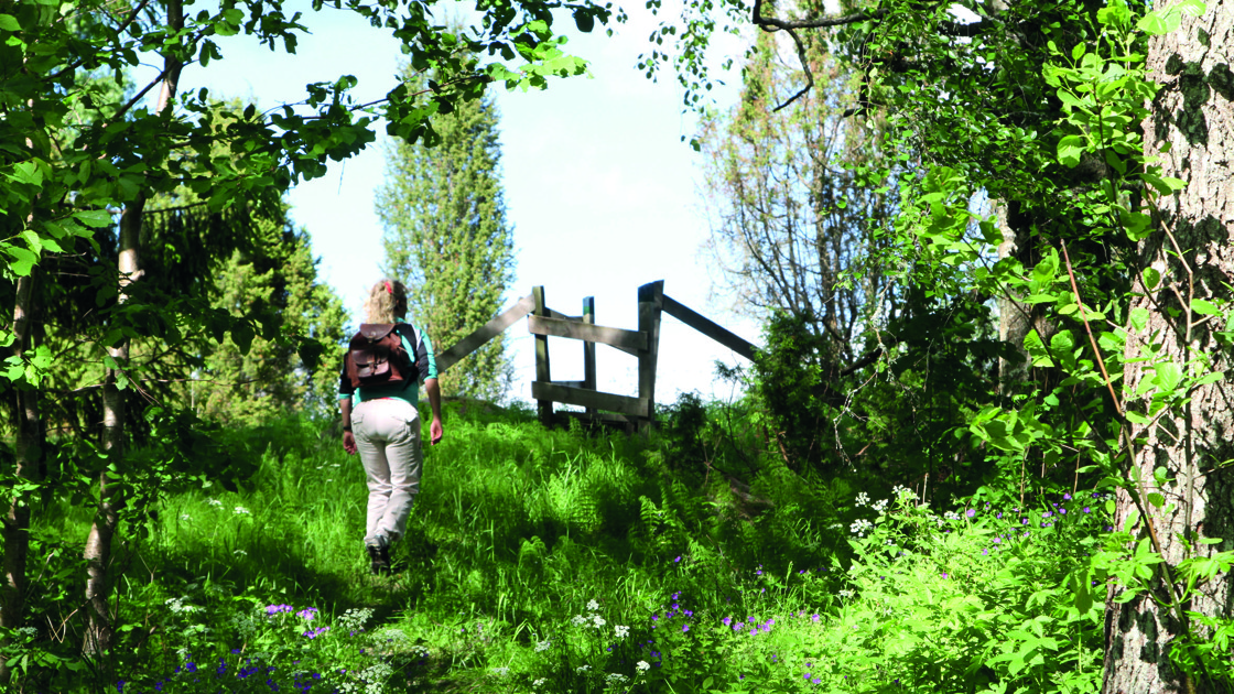 Vandring utmed å-leden.