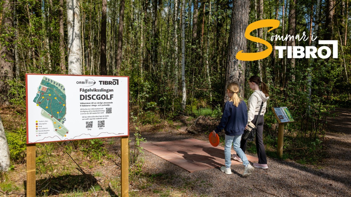 Fågelvikslingan discgolf.
