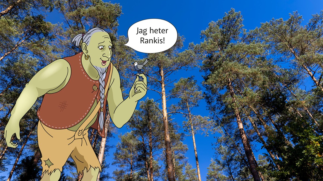 Rankåsjätten Rankis.