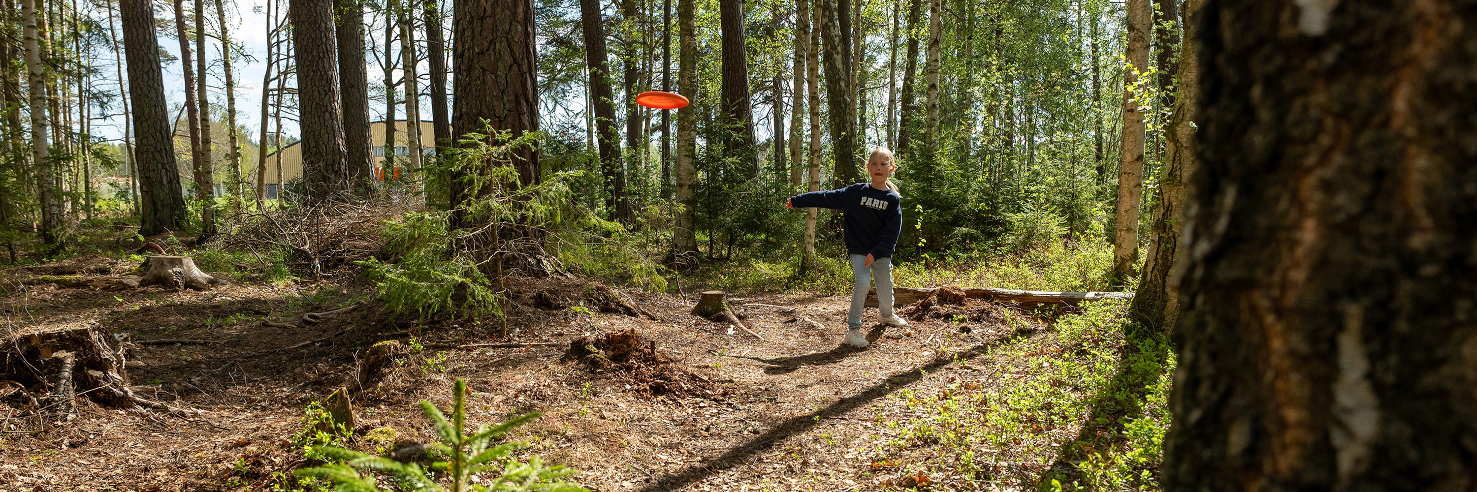 Discgolfträning.