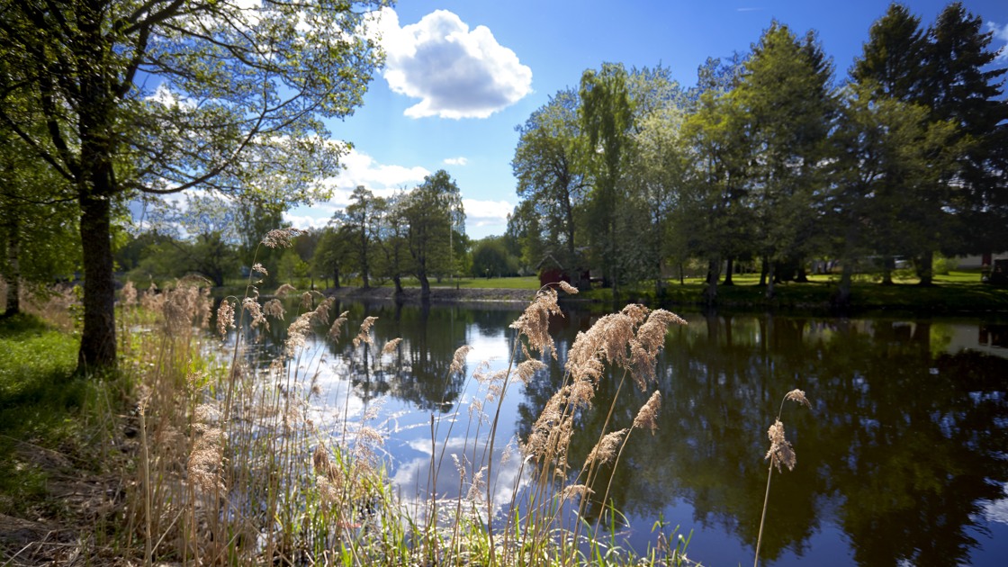 Ånaplan med utsikt över vatten