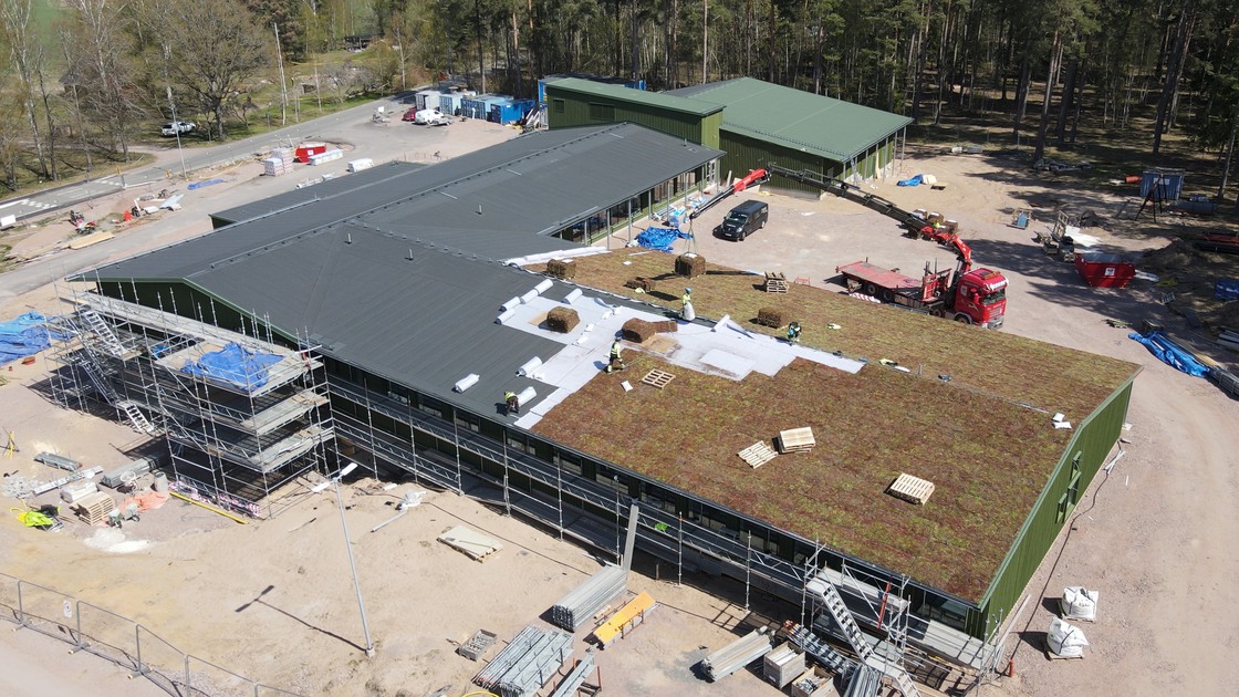 Montering av sedumtak på Ransbergs skola den 9 maj 2023.