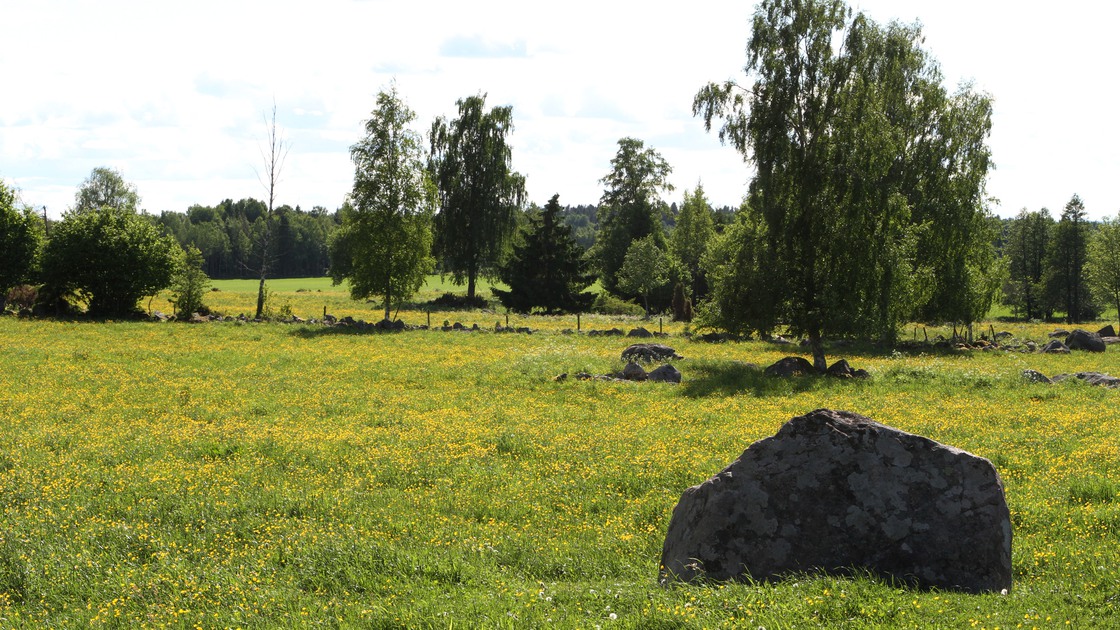 Ängs- och hagmark.