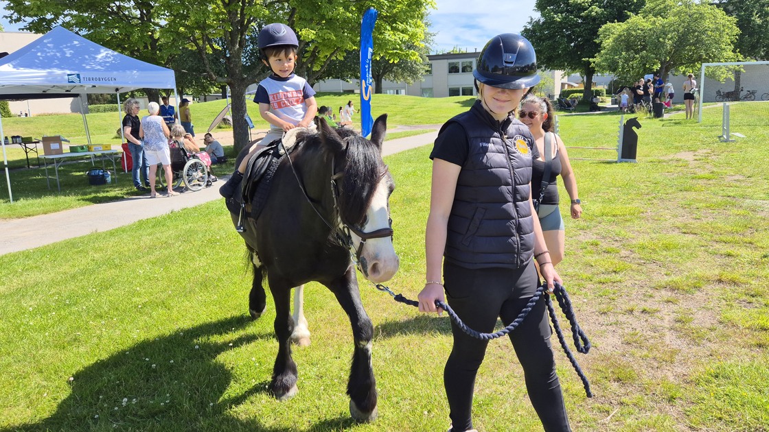 Ponnyridningen i Skattegården.