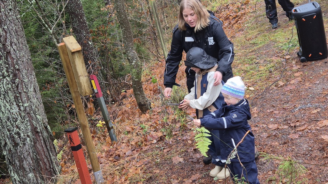 Barnen Estrid Blomster och Charlie Gustafsson Blåder klippte bandet vid invigningen av Jättens stig på Rankås friluftsområde den 30 oktober 2025.