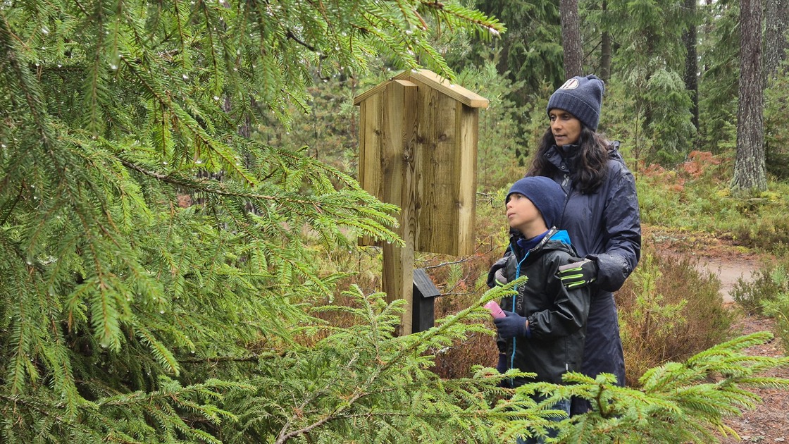 Max och Maria Gejervall löser ett av Rankåsjättens uppdrag på invigningen av Jättens stig.