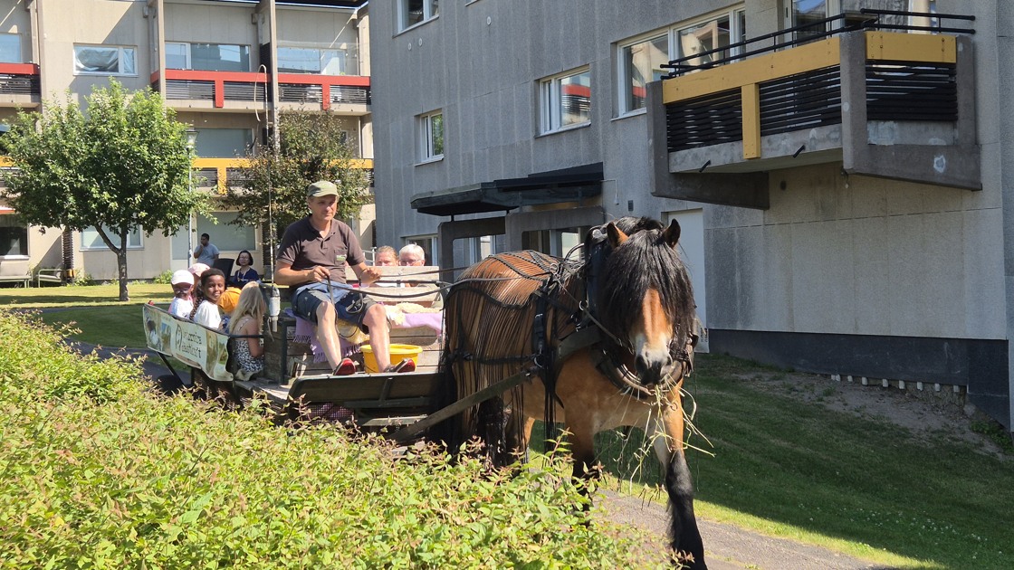 Sommarhäng i Brittgården.