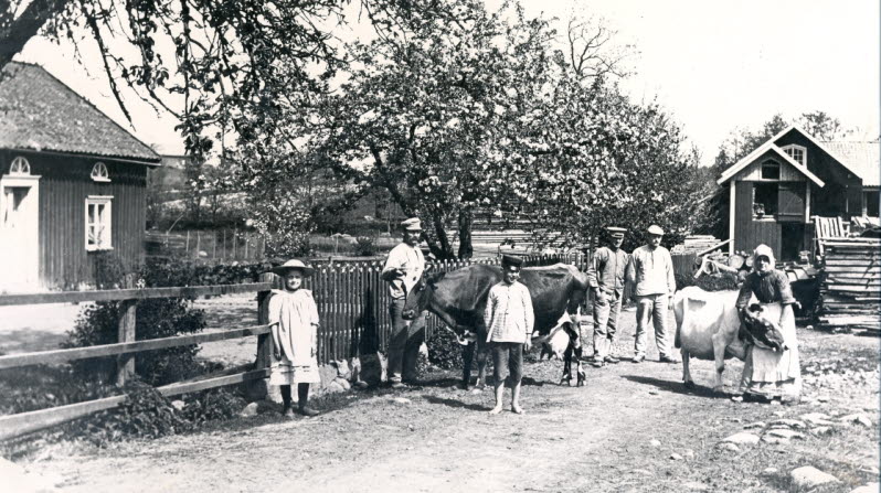 Gårdsarbete vid Kronkvarn, Kyrkefalla, omkring år 1910.